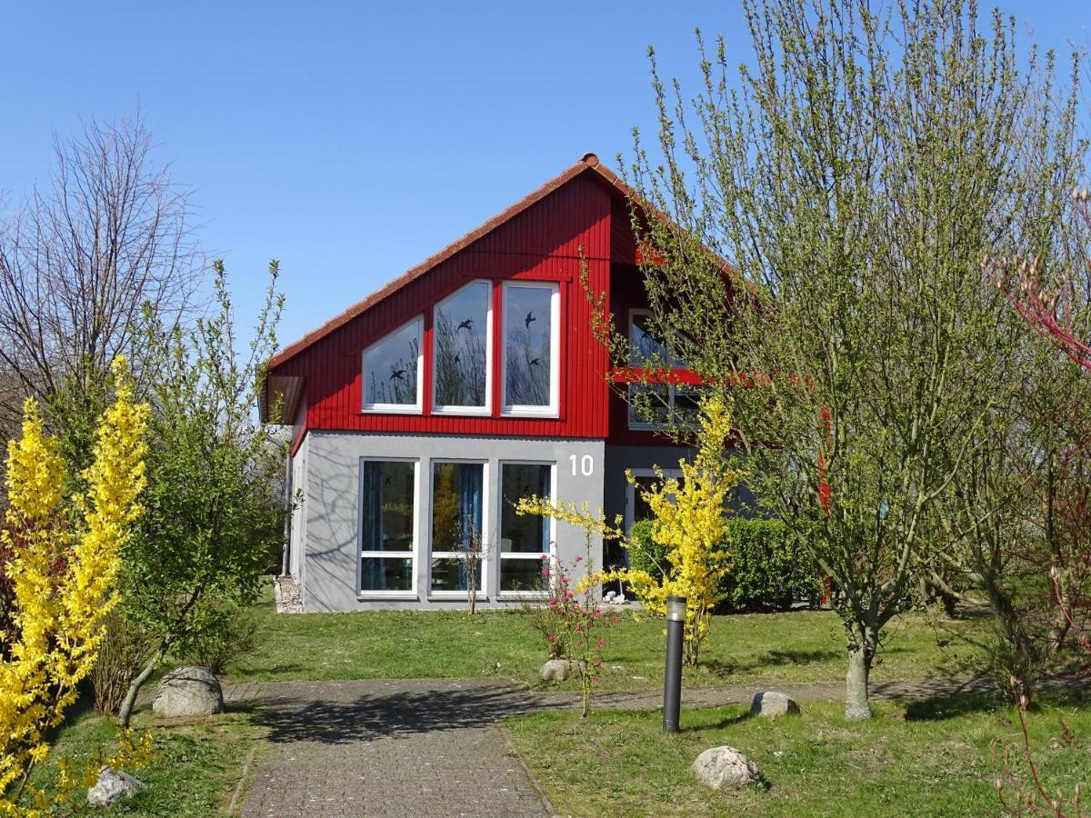 Ferienhaus Ostseeblick Hohen Schoenberg Ngoại thất bức ảnh